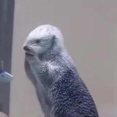 He’s like... am I ok?