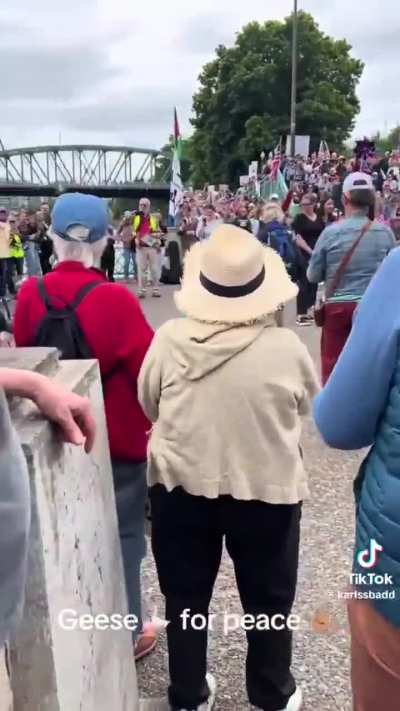 Infiltrated No Kings Protest