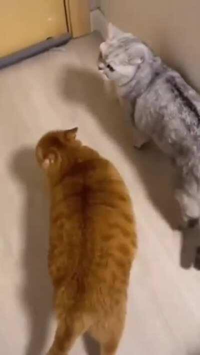 this made my day...hope it'll make yours better too