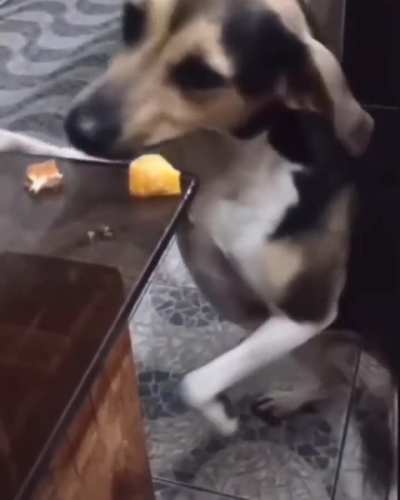 ILHADOKONG - Video #4360