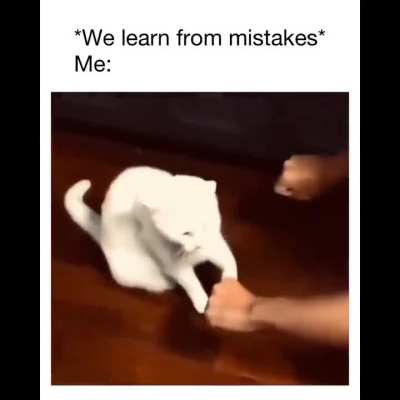 We learn from mistakes, do we?🤔