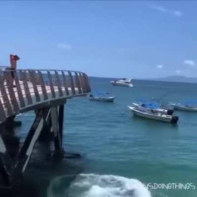 So this guy decided to go bobbin'