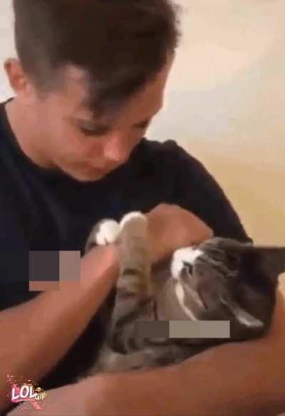 You're not gonna bully me no more cat