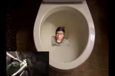 toilet moment