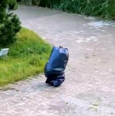 5 Minute Crafts must be stopped.