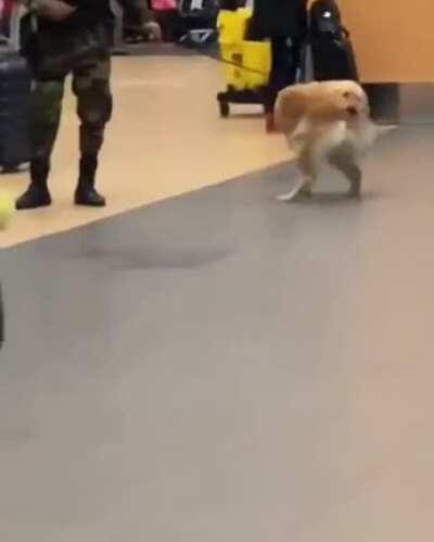 Professional airport security, multitasking