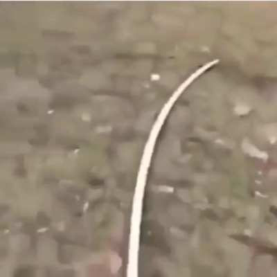 Trampoline skateboarding! WCGW?