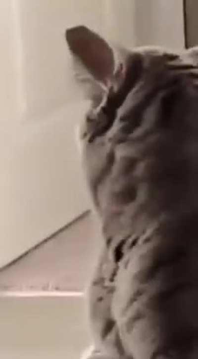 Alle im Umkreis von 10 Kilometer.