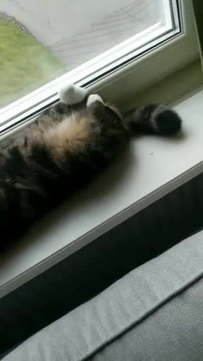 Assembled incorrectly?