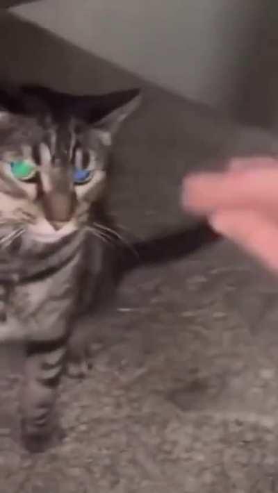 bro thinks he's ten years joint guy