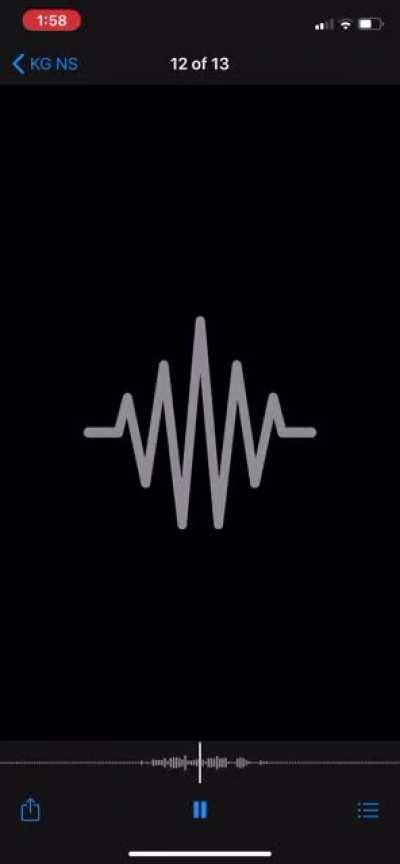 New Slaves Frank Vocals