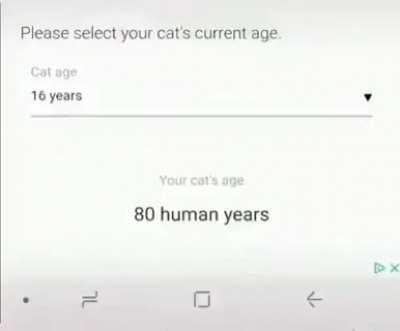 I won again FBI agent