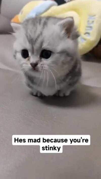 Reminder to take a shower