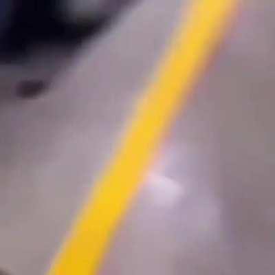 Always keep your doges safe