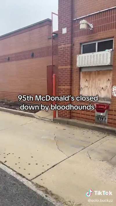 The McDonald’s Q50 n da bloodhounds fucked 95 Mobb at