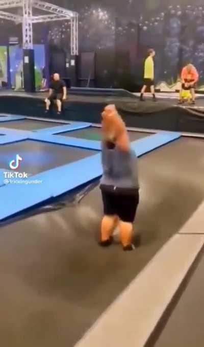 A majestic creature in flight...