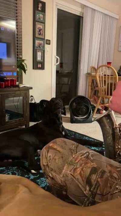 Drax’s sing along 😂