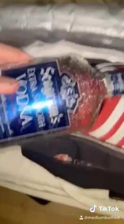 The story of how I came to America