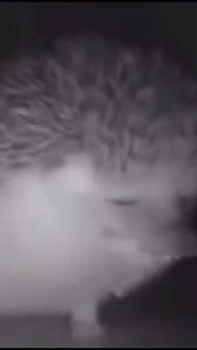 watashi wa kira yoshikage