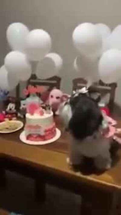 Ah fds, isso é fofo pra caralho. Que gay kkk