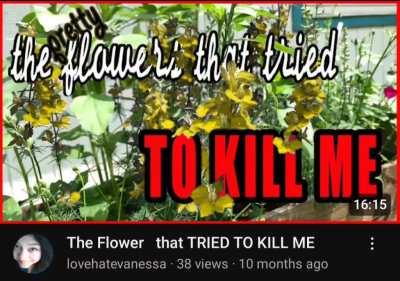 In this world its either kill or be killed 