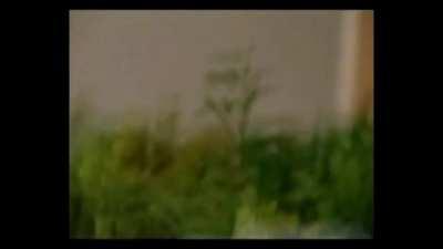 HUNGARIAN STORE TECHNOLOGY 2010