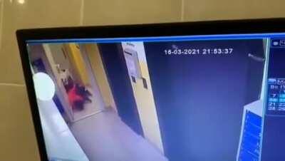 Young boy saves his puppy from a pitbull attack. He gets maimed in the process. Owner claimed 