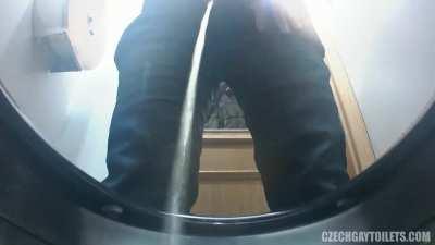 #10 (CzechGayToilets)
