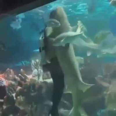 Jotaro's Marine Biology Adventures