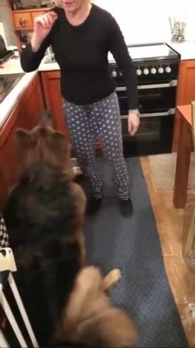 It was going so well