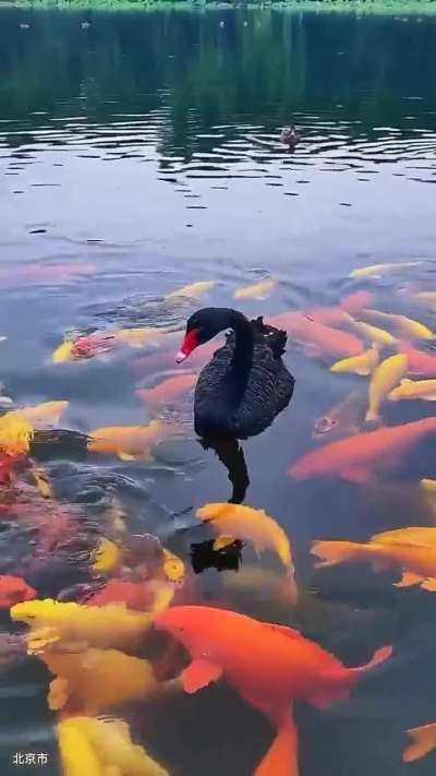 I only want to say one thing: Have a great day