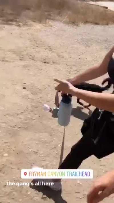 Bouncing boobs part 2