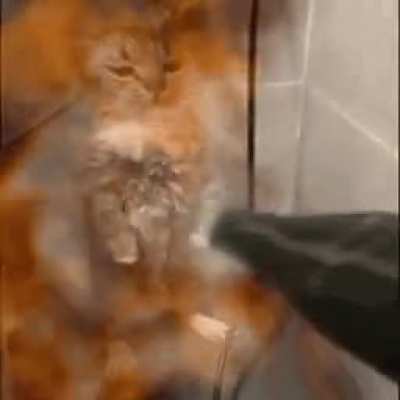 How will sakaki react to this information 🤔