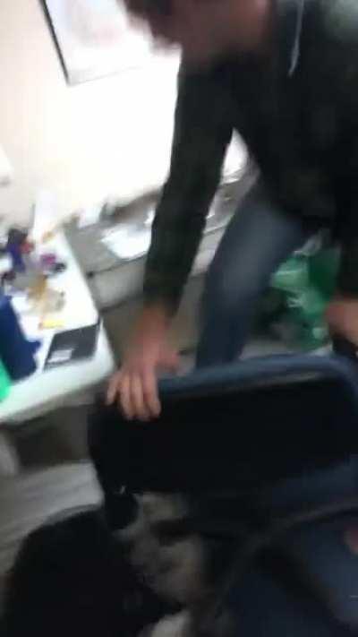 Dumbass waving a gun inside a room with others over a squirrel sneaking in