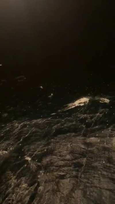 Christmas from the North Sea