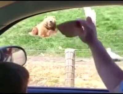 Bread slice straight into the heart 💫