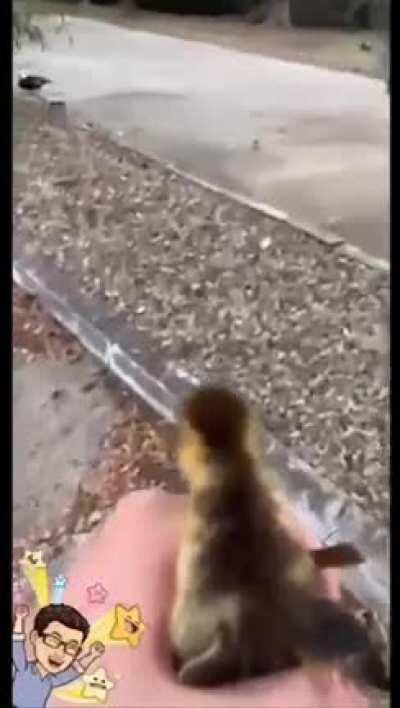 Always check storm drains!