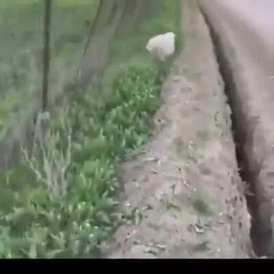 POV: your extrovert friend is trying to force you to do people stuff.