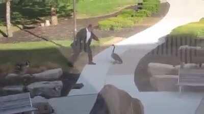 Weary Pilgrims Battle Cliffracer