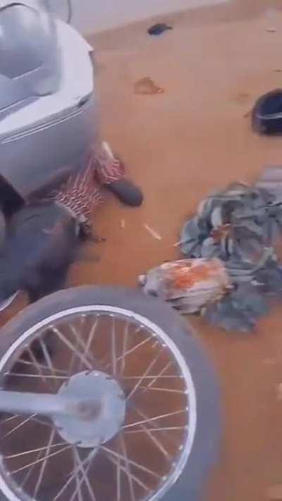 Homie is unconcerned: chewing on sugarcane.