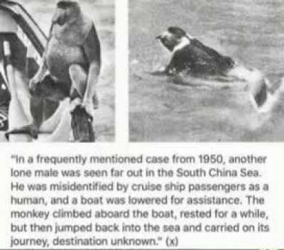 Onwards he goes, towards eternity