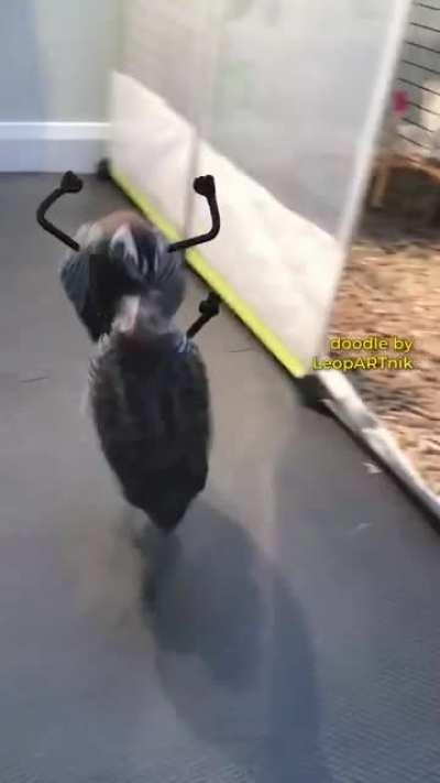 📦 Ugh, that Package Thief 📦