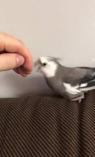 A wild hand approaches!