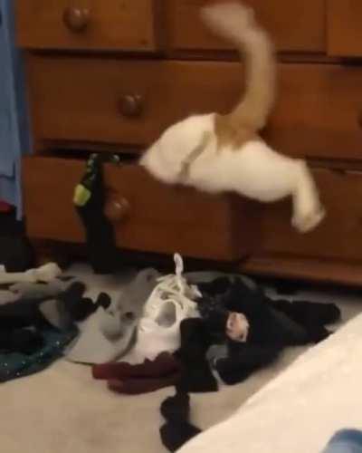 The leg wiggles get me every time