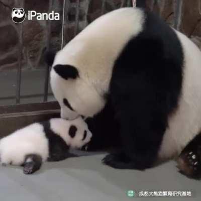 From day one to little balls of annoying - Moms are the best!