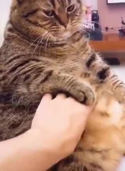 Domt toumch my bemlly!!