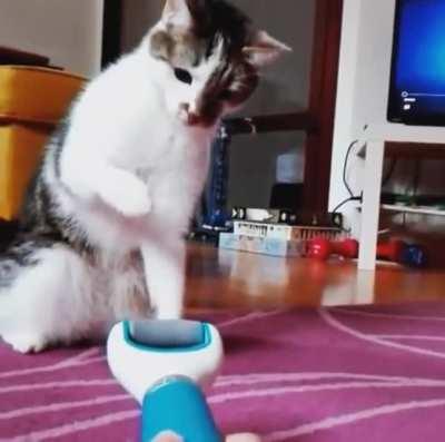 Hmc as I walk with 2 feet