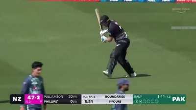 That one time Glenn Philips came out to bat with the John Cena themesong