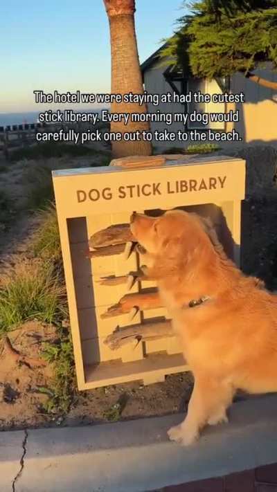 Every beach needs a stick library....