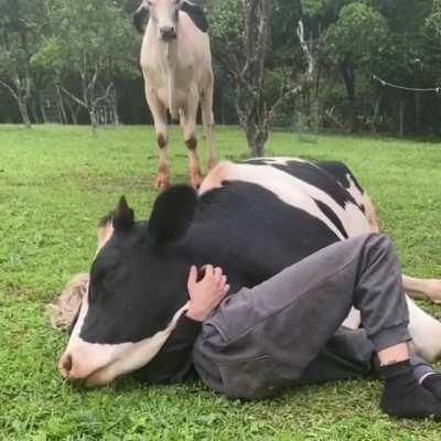 This is what jealousy looks like